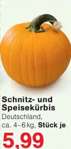 Wiglo Wunderland Schnitz- und Speisekürbis Angebot