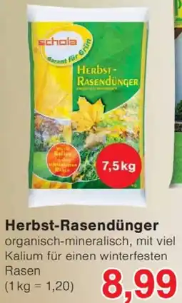 Wiglo Wunderland Herbst-Rasendünger Angebot