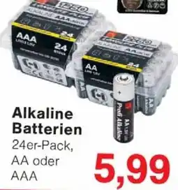Wiglo Wunderland TIM HOME Alkaline Batterien Angebot
