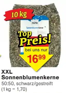 Wiglo Wunderland XXL Sonnenblumenkerne Angebot