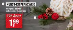 Handelshof KUNST-KIEFERNZWEIG Angebot
