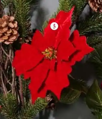 Handelshof KUNST- WEIHNACHTSSTERN Angebot