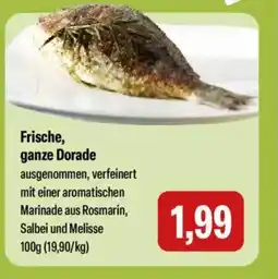 Feneberg Frische, ganze Dorade Angebot