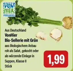 Feneberg VonHier Bio-Sellerie mit Grün Angebot