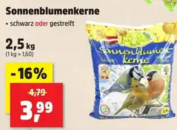 Thomas Philipps Sonnenblumenkerne Angebot