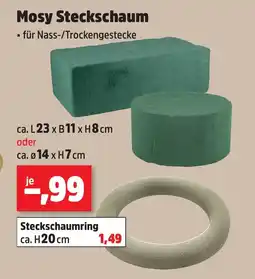 Thomas Philipps Mosy Steckschaum Angebot