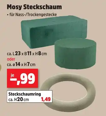 Thomas Philipps Mosy Steckschaum Angebot