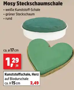 Thomas Philipps Mosy Steckschaumschale Angebot