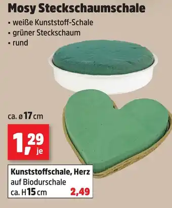 Thomas Philipps Mosy Steckschaumschale Angebot