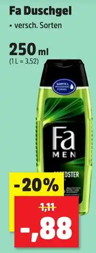 Thomas Philipps Fa Duschgel Angebot