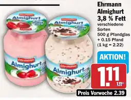 AEZ Ehrmann Almighurt 3,8 % Fett Angebot