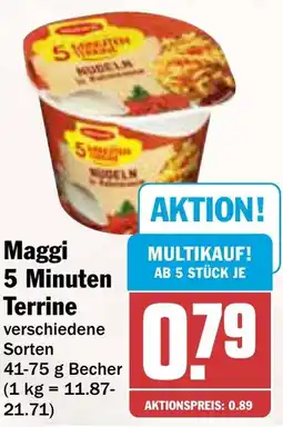 AEZ 5 Minuten Terrine Angebot