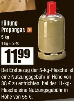 V Baumarkt Füllung Propangas Angebot