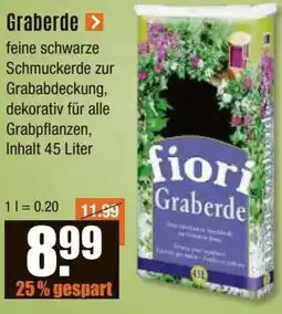 V Baumarkt Fiori Graberde Angebot