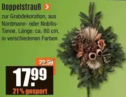 V Baumarkt Doppelstrauß Angebot