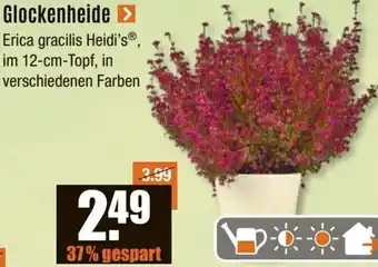 V Baumarkt Glockenheide Angebot