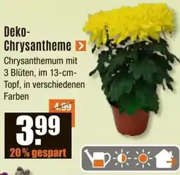 V Baumarkt Deko Chrysantheme Angebot