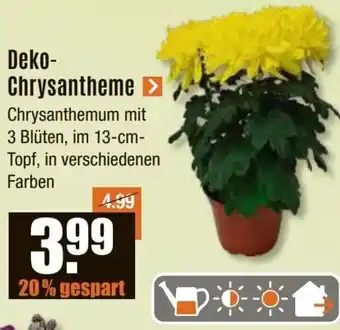 V Baumarkt Deko Chrysantheme Angebot