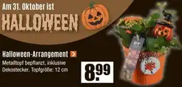 V Baumarkt Halloween-Arrangement Angebot