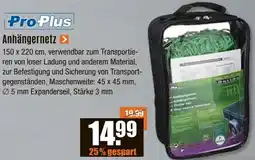 V Baumarkt Pro-Plus Anhängernetz Angebot