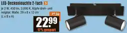 V Baumarkt BRILONER LED-Deckenleuchte 2-fach Angebot