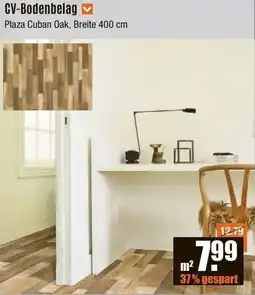 V Baumarkt CV-Bodenbelag Angebot