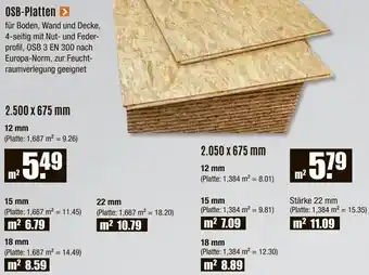 V Baumarkt OSB-Platten Angebot