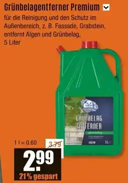 V Baumarkt Grünbelagentferner Premium Angebot