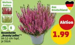 PENNY Besenheide „Beauty Ladies" Angebot