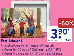 Aldi Süd Foto-Leinwand Angebot