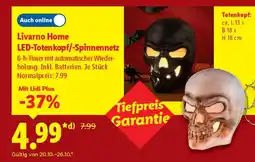 Lidl Livarno Home LED-Totenkopf/-Spinnennetz Angebot