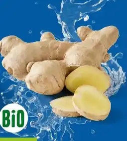 Lidl Bio Ingwer Angebot