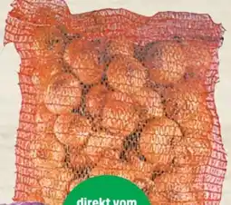 Thomas Philipps Speisezwiebeln XXL Angebot