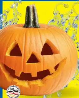 Lidl Halloween Kürbis Angebot