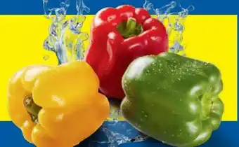 Lidl Paprika Mix Angebot