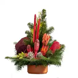 toom Baumarkt Grabstrauß Nordmann Angebot
