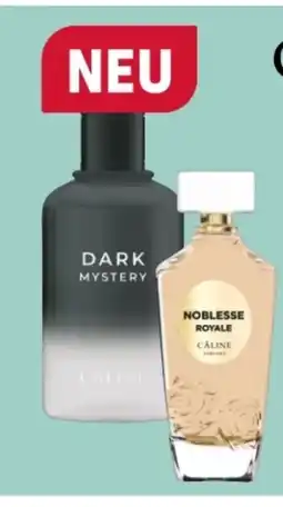 Rossmann Câline Woman EdT Angebot