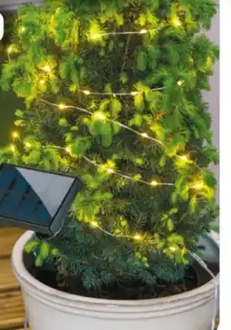 Rossmann Rossmann Ideen Welt LED-Solar-Metalldraht Lichterkette Angebot
