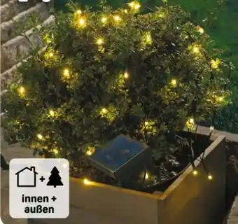 Rossmann Rossmann Ideen Welt Solar-Lichternetz Angebot