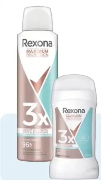 Rossmann Rexona Maximum Protection Deospray Angebot