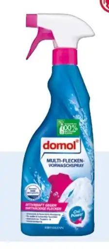 Rossmann Domol Multi-Flecken-Vorwaschspray Angebot