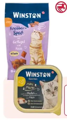Rossmann Winston Knabber-Spaß Angebot
