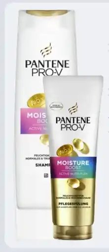 Rossmann Pantene Pro-V Shampoo Angebot