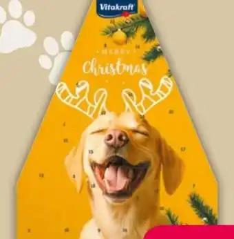 NETTO Vitakraft Hunde-Adventskalender Angebot