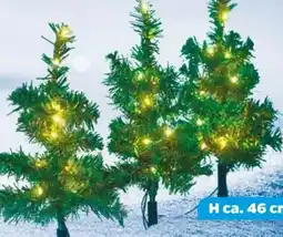 NETTO Dekorado LED-Gartenstecker Tanne Angebot