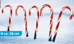 NETTO Dekorado LED-Gartenstecker Zuckerstangen Angebot