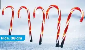 NETTO Dekorado LED-Gartenstecker Zuckerstangen Angebot