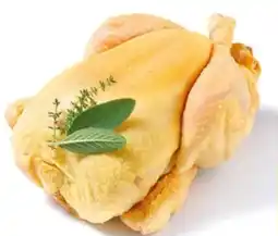 NETTO Maishähnchen Angebot