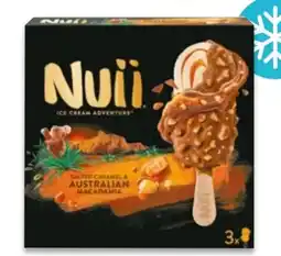 NETTO Nuii Ice Cream Salted Caramel & Australian Macadamia Angebot