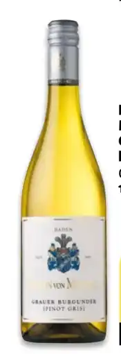 NETTO Baron von Maydell Grauer Burgunder Angebot